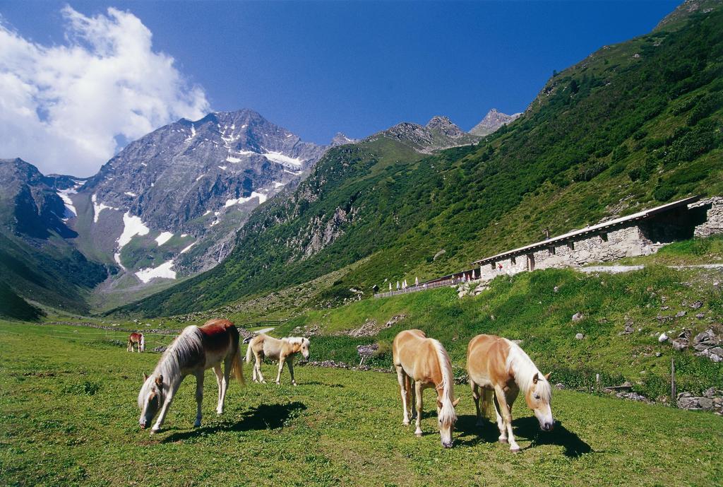 Apartment Hildegard Neustift im Stubaital Luaran gambar