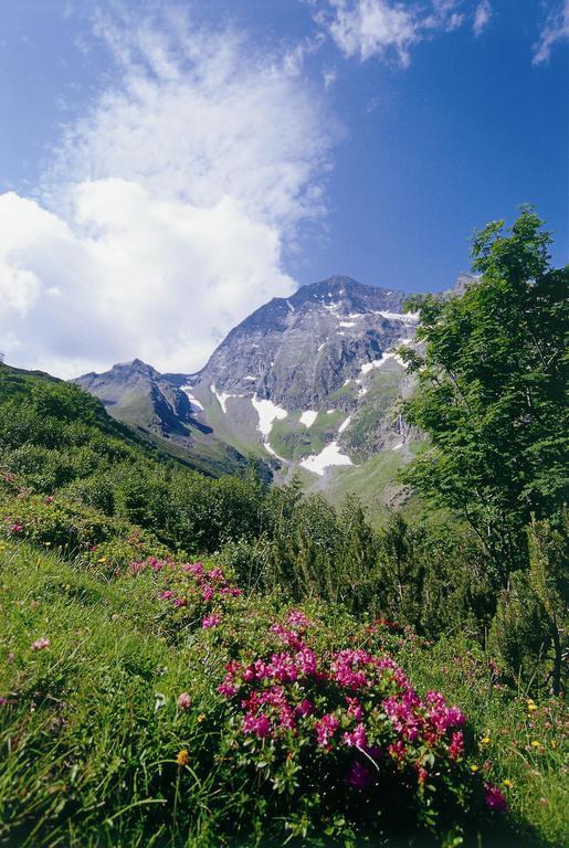 Apartment Hildegard Neustift im Stubaital Bilik gambar
